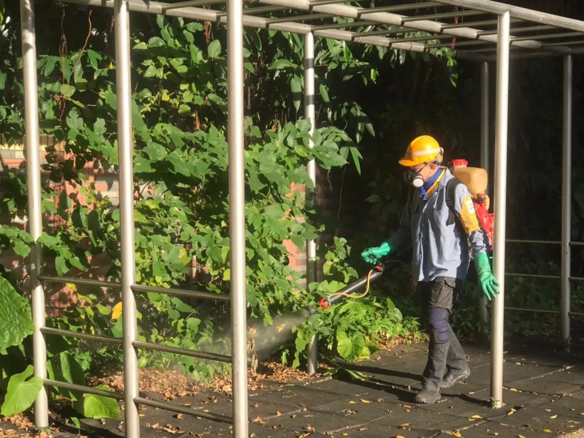 ▲台北市單週新增1例登革熱本土病例。（圖／北市衛生局）