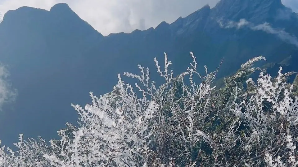 ▲今（7）日迎接大雪節氣，受大陸高壓影響，各地區平地最低氣溫約在攝氏12度至17度，玉山最低溫達攝氏零下8.2度。（圖／中央氣象署）