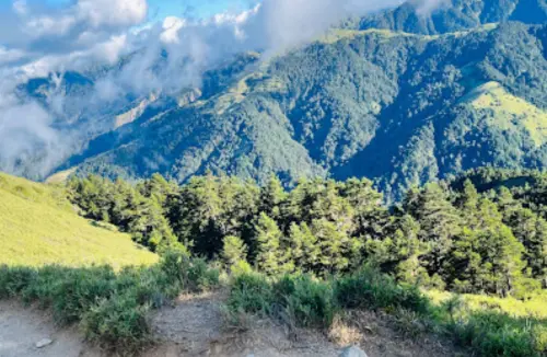 ▲一名網友在Threads上發文，他表示正在考慮未來的科系選擇，目前傾心於森林系，但長輩卻一直反對，貼文曝光後，不少過來人都給予森林系正面評價。圖為合歡山森林遊樂區。（圖／取自台灣山林悠遊網recreation.forest.gov.tw）