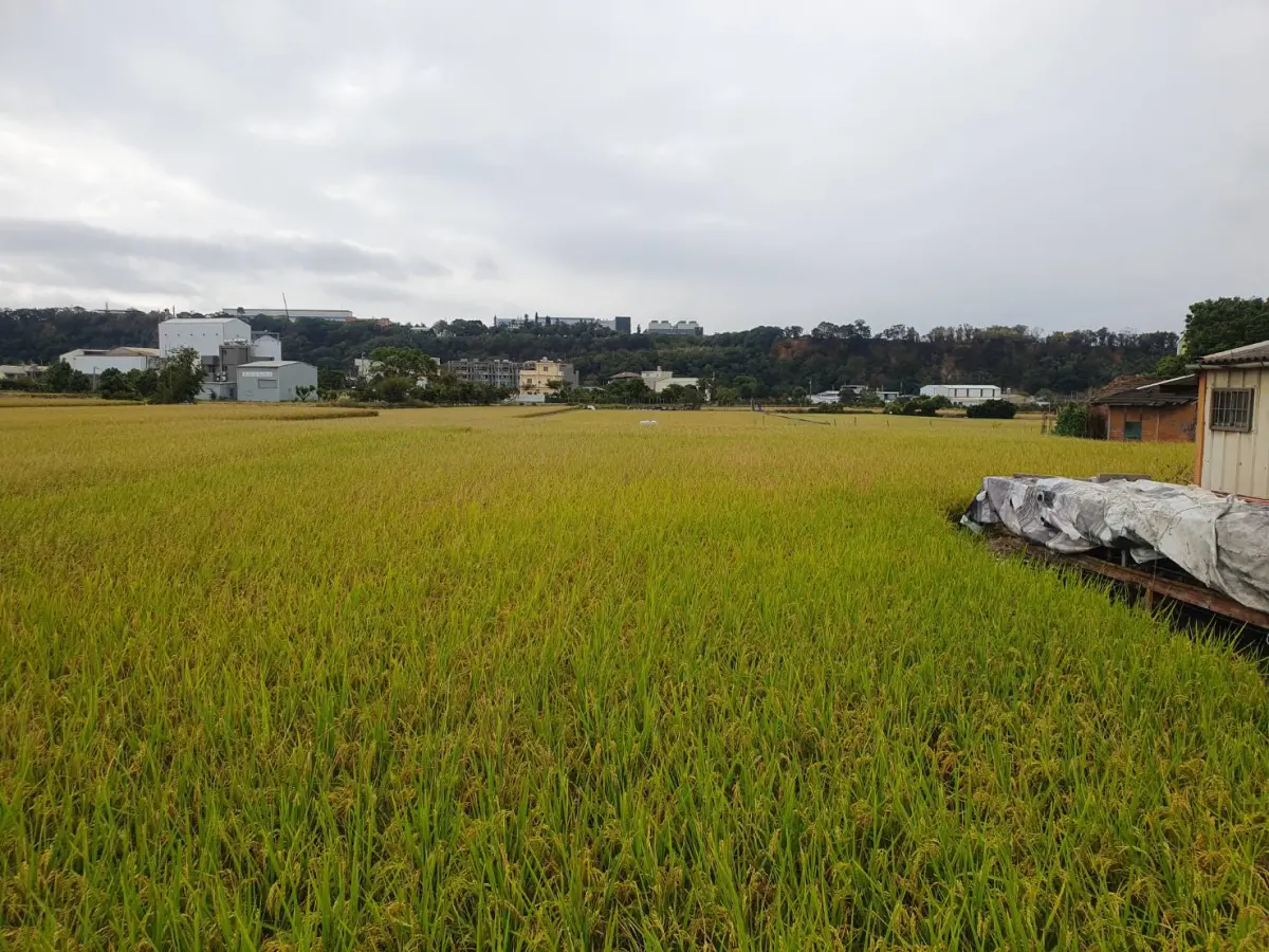 ▲農業部表示，本次農保清查對象僅限未滿65歲者，老農權益絕對不受影響，並無外界所稱的「養套殺」。(圖／農業局提供2023.12.7)