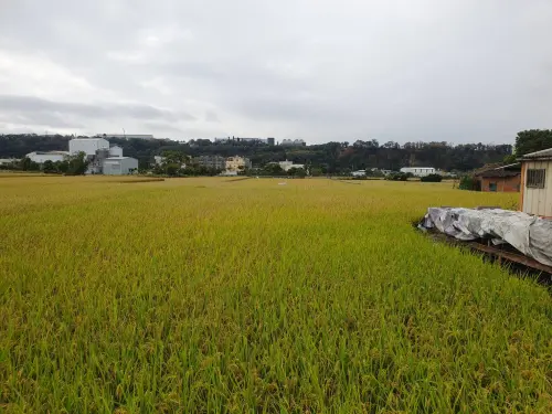 農地違規使用 小心荷包失血 ▲農地違規使用涉及違反土地使用管制規定者,會依區域計畫法或都市計畫法裁處6萬元以上30萬元以下罰鍰(圖/農業局提供2023.12.7)