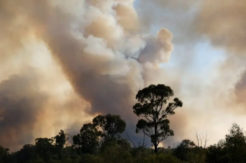 ▲圖為澳洲新南威爾斯州納拉布里地區9日因野火冒出陣陣濃煙。（圖／取自twitter.com/NSWRFS）