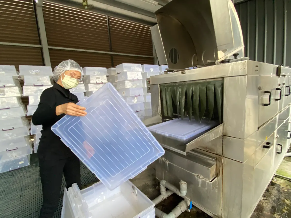 ▲患多重障礙的小婷，做事一絲不毫，洗清烘焙箱前都會仔細檢查有無嚴重髒污。（圖／中市勞工局提供）