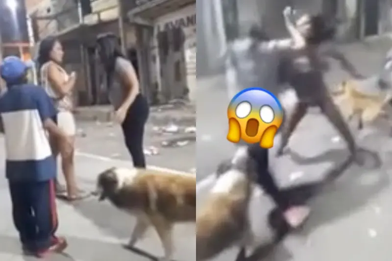 ▲街頭2名女子突然大打出手，一旁的狗狗也看不下去，急忙上前勸2人冷靜。沒想到，就在狗狗勸架的過程中，其中一名女子的褲子竟意外被脫下。（圖／翻攝自Reddit）