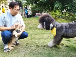 ▲手搖飲「茶與布朗」日前在三重洛陽公園舉辦寵物同樂會。（圖／業者提供）