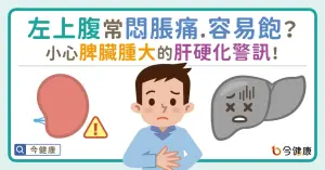 左上腹常悶脹痛、容易飽？小心「脾臟腫大」的肝硬化警訊！
