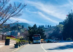 梨山賞楓吧! 中市公車865路復駛中橫公路