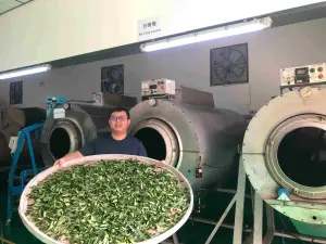 ▲三峽天芳製茶廠首次獲5星級製茶廠肯定。（圖 ／新北市政府農業局提供）