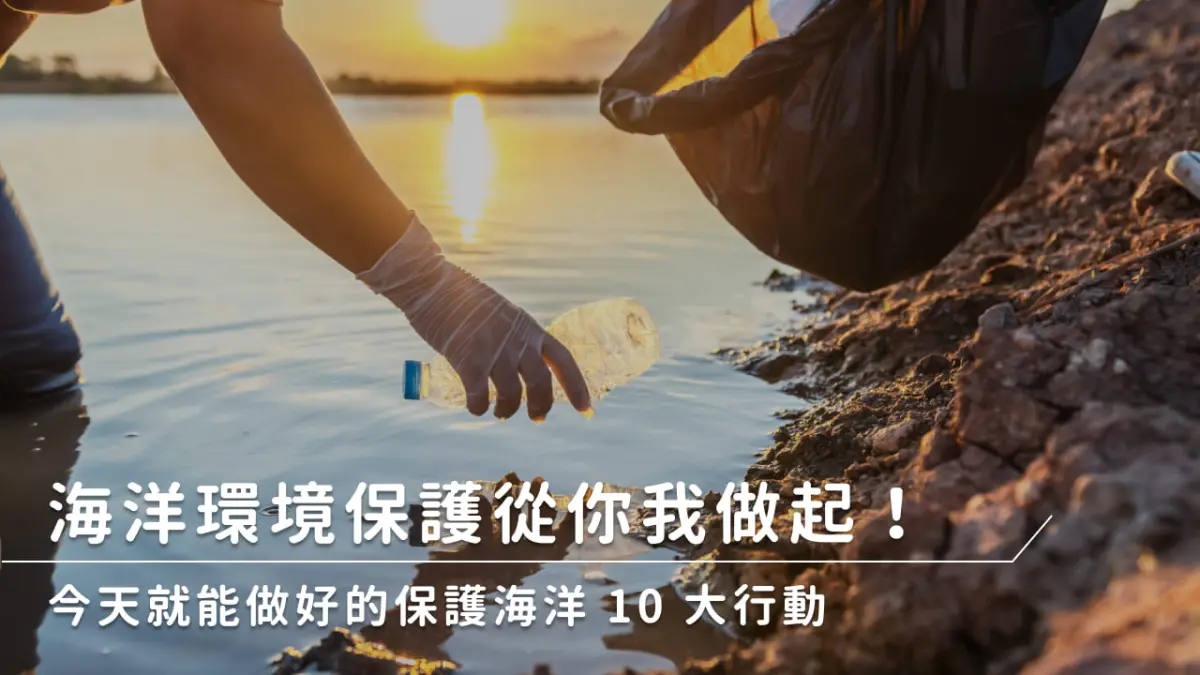 ▲保育海洋生態的目標，首要著眼於海洋污染防治、海洋與海岸永續管理、打擊 IUU 漁撈行為，以及落實聯合國海洋法公約等。（圖／NOWnews製圖）