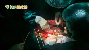 豬仔、良心犯慘遭活摘器官　台、日、韓聯手立法反暴行
