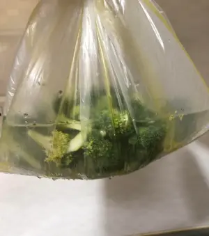 ▲網友分享塑膠袋清洗法，躲在花椰菜花穗中的蟲卵、菜蟲幾乎都能逼出來。（圖／翻攝家常菜臉書）