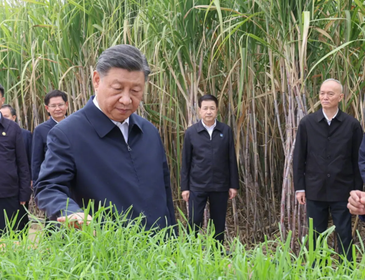 ▲中共總書記習近平在訪問越南後並未先返回北京，而是在14日上午視察廣西南寧與東協相關企業及多民族社區。（圖／翻攝自新華社）