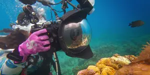 這三島被評為世界最佳潛水地！菲國迎聖誕季　台北微影展抽機票
