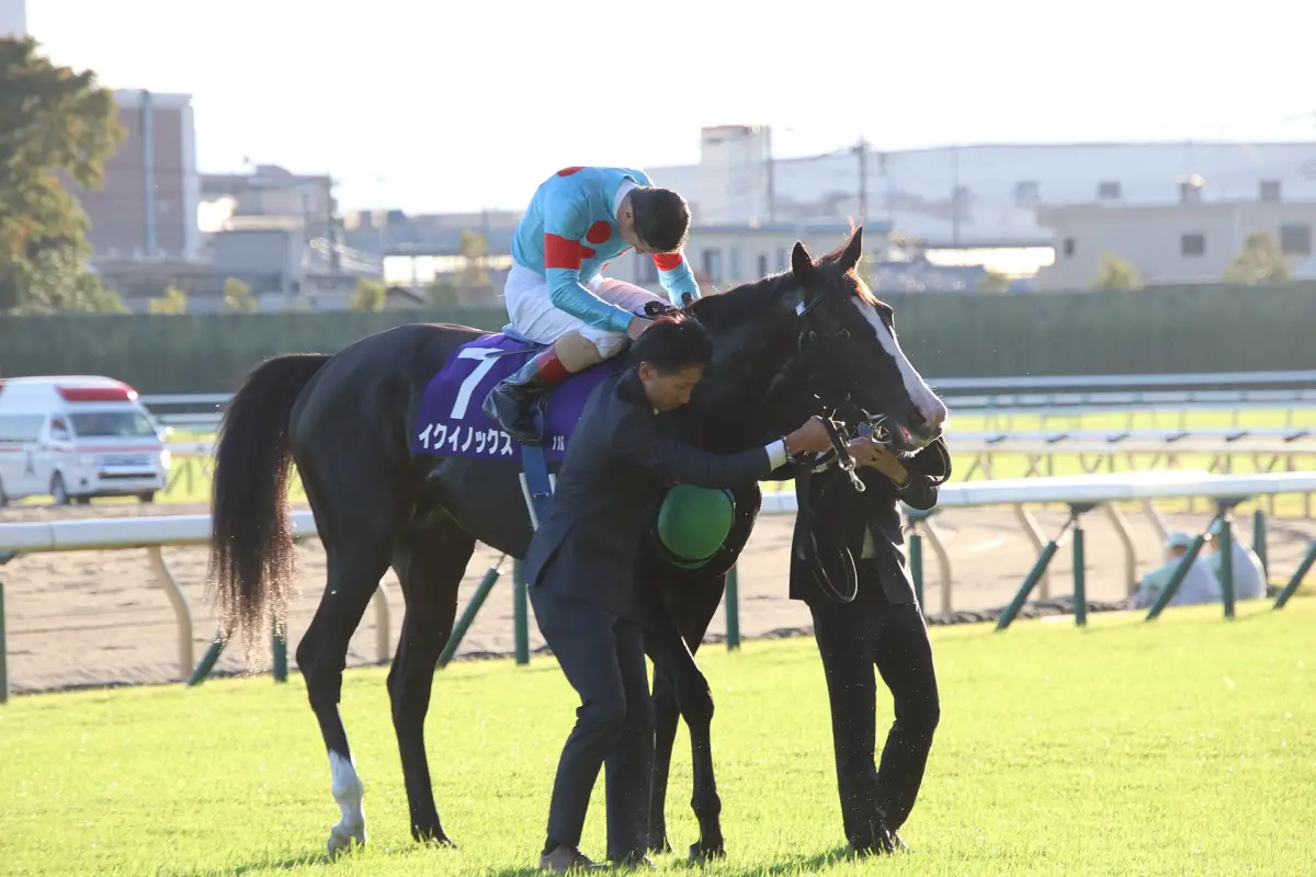 ▲日本的世界馬王「春秋分」今（16）日正式引退。（示意圖／取自wikipedia）