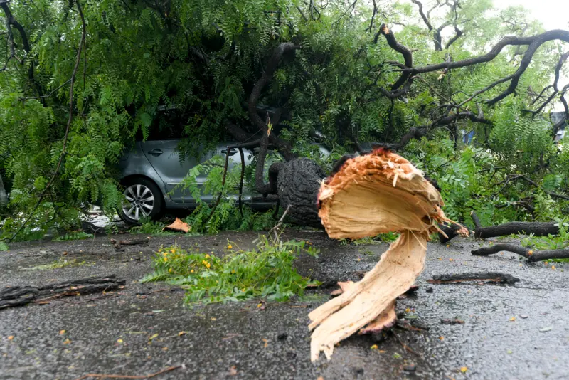 ▲阿根廷首都布宜諾斯艾利斯多區16、17日連續兩天遭到強烈暴風雨侵襲，造成至少15人罹難，超過千起求助電話，逾40萬用戶無電可用。（圖／美聯社／達志影像）