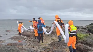 喀麥隆籍貨輪「海順（HAI SHOU）」澎湖擱淺　油污擴散到海岸

