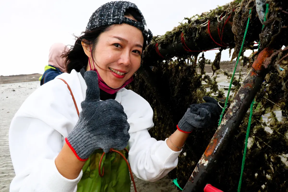 ▲澎管處結合白沙鄉講美『挽紫菜』、馬公市鎖港『(糹留)海菜』現有之海洋產業資源、社區文化及創意美食料理，開辦海田文化體驗行程。（圖／記者張茂雄攝，2023.12.18）