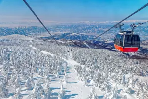 ▲不少國人冬季出國，最愛造訪難得一見的樹冰、下雪場景。（圖／可樂旅遊提供）