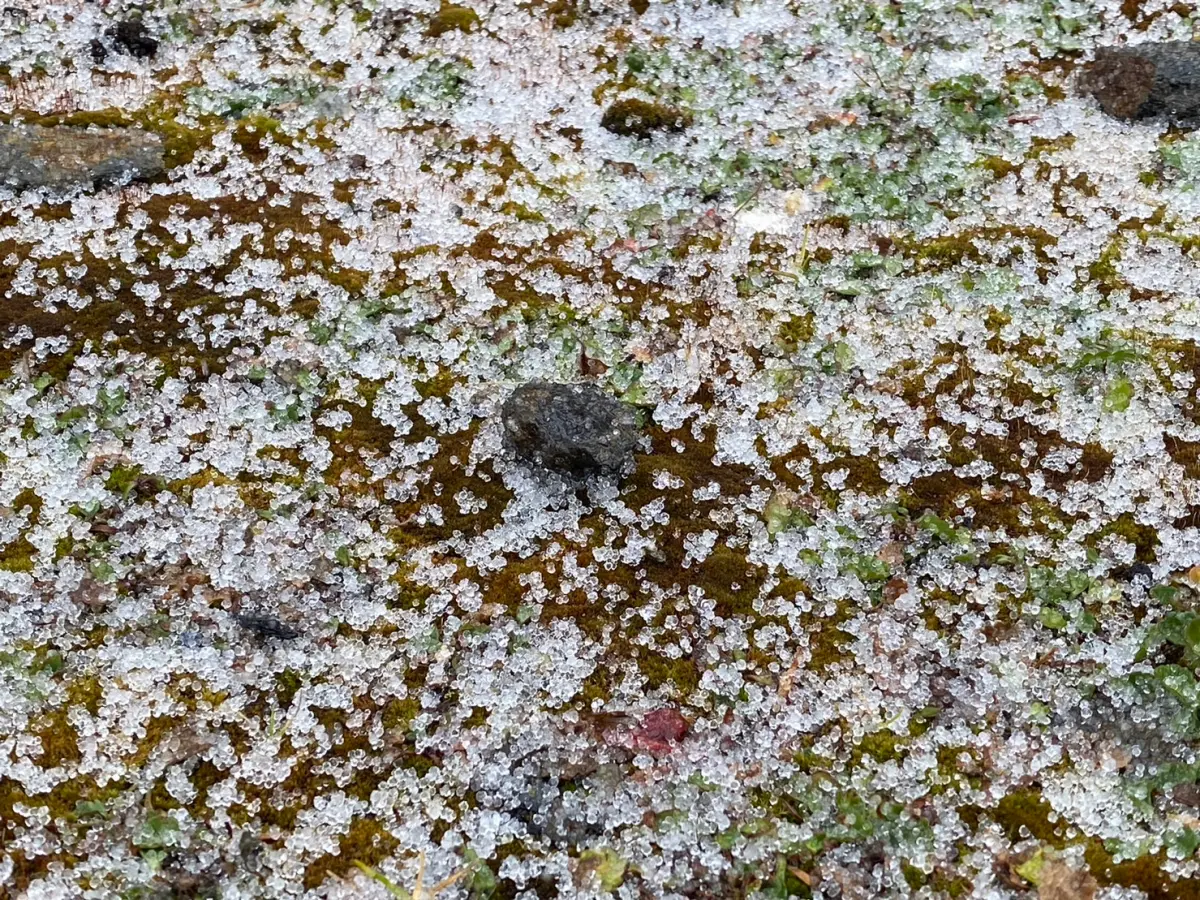 ▲入冬首波寒流南下侵台！台灣最高峰玉山今（21）日清晨氣溫已降至攝氏零下1度，中午11時20分開始下起「冰珠」。（圖／中央氣象署提供）