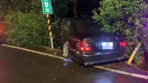 ▲吳男因天雨路滑，車輛自撞路旁樹叢遭到警方逮捕。（圖／大園分局提供）