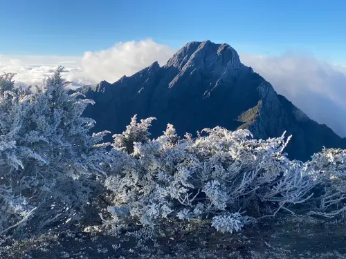 寒流-0.6°C太平山下雪！玉山更冷-5.7℃「下霧淞」　最大差別曝光
