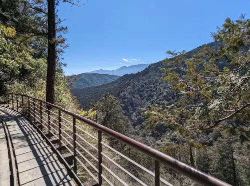 ▲太平山森林遊樂園裡面有許多步道可以走，美景全收眼底真的超值得去一次。（圖/Google評價）