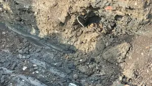 柯文哲農地開挖出事業廢棄物 卓冠廷:挖到大秘寶高虹安得移送了