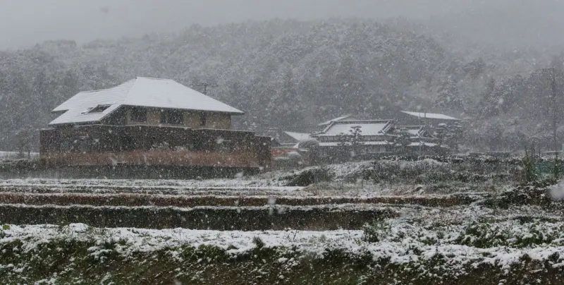 ▲強烈寒流侵襲，日本海側的北日本到西日本降大雪，東北部分地區積雪達上百公分。（圖／美聯社／達志影像）