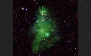 光年之外的聖誕祝福！NASA分享超應景「聖誕樹星團」　美翻外太空

