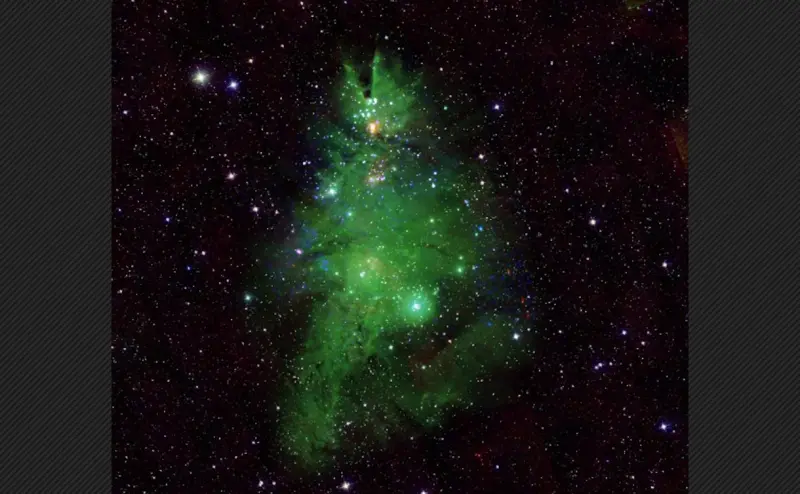 ▲美國國家航空暨太空總署（NASA）發布了一張「耶誕樹星團」圖，透過染色與旋轉照片方向，讓編號「NGC 2264」星團看起來就像是銀河中的一棵耶誕樹。（圖／翻攝自NASA的X）