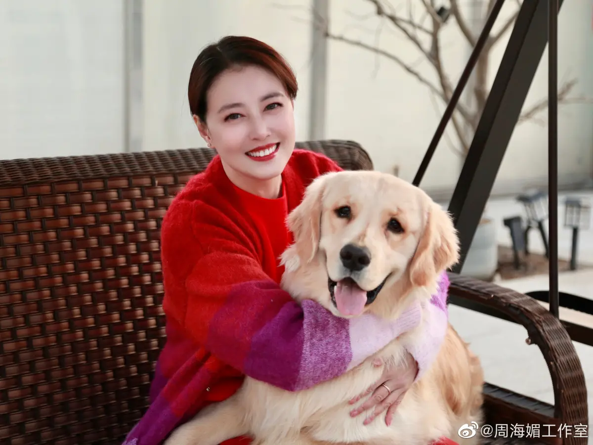 ▲周海媚離世留下生前最愛的黃金獵犬，一度面臨沒人要養的命運，幸好女星李勤勤得知後火速收編，溫暖喊話：「希望海媚在天堂放心！」（圖／周海媚工作室微博）