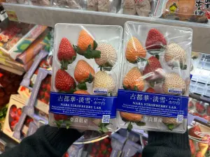 ▲日本高知達摩草莓禮盒500G，售價1699元。（圖／記者鍾怡婷攝）
