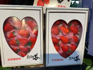 ▲日本高知達摩草莓禮盒500G，售價1699元。（圖／記者鍾怡婷攝）