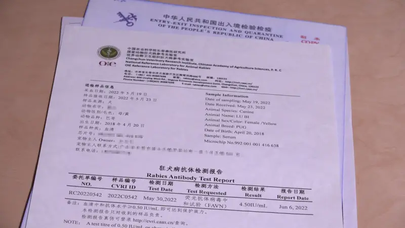 ▲中國狂犬病抗體檢測報樣張，非當事人物、事件。（圖／資料照）