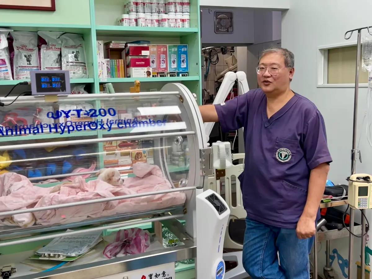 ▲仁愛動物醫院院長朱建光多次協助飼主辦理寵物出境資料，曾在臉書提醒國內有寵物出境文件造假情事。（圖／記者李詠平攝）