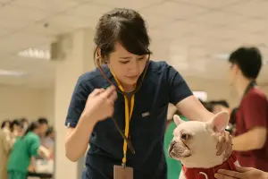 台大「獸醫乃」近況曝！任台灣首席評估獸醫師、關注短吻犬健康
