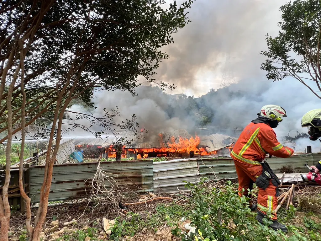 ▲工寮雞舍火警，40多隻蛋雞被燒成焦屍。（圖／翻攝畫面）