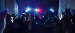 ▲盧貝松新電影《人犬》動用多達124隻狗演員演出。（圖／傳影互動）