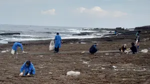 ▲民眾協助清理海岸邊附著油污之廢棄物。（圖 ／新北市政府環保局提供）