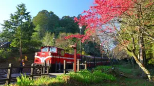 ▲阿里山賓館曙光日出專案,訂房另贈送入住隔日祝山觀日火車來回車票。(圖/記者黃文德翻攝) ▲阿里山賓館曙光日出專案,訂房另贈送入住隔日祝山觀日火車來回車票。(圖/記者黃文德翻攝)
