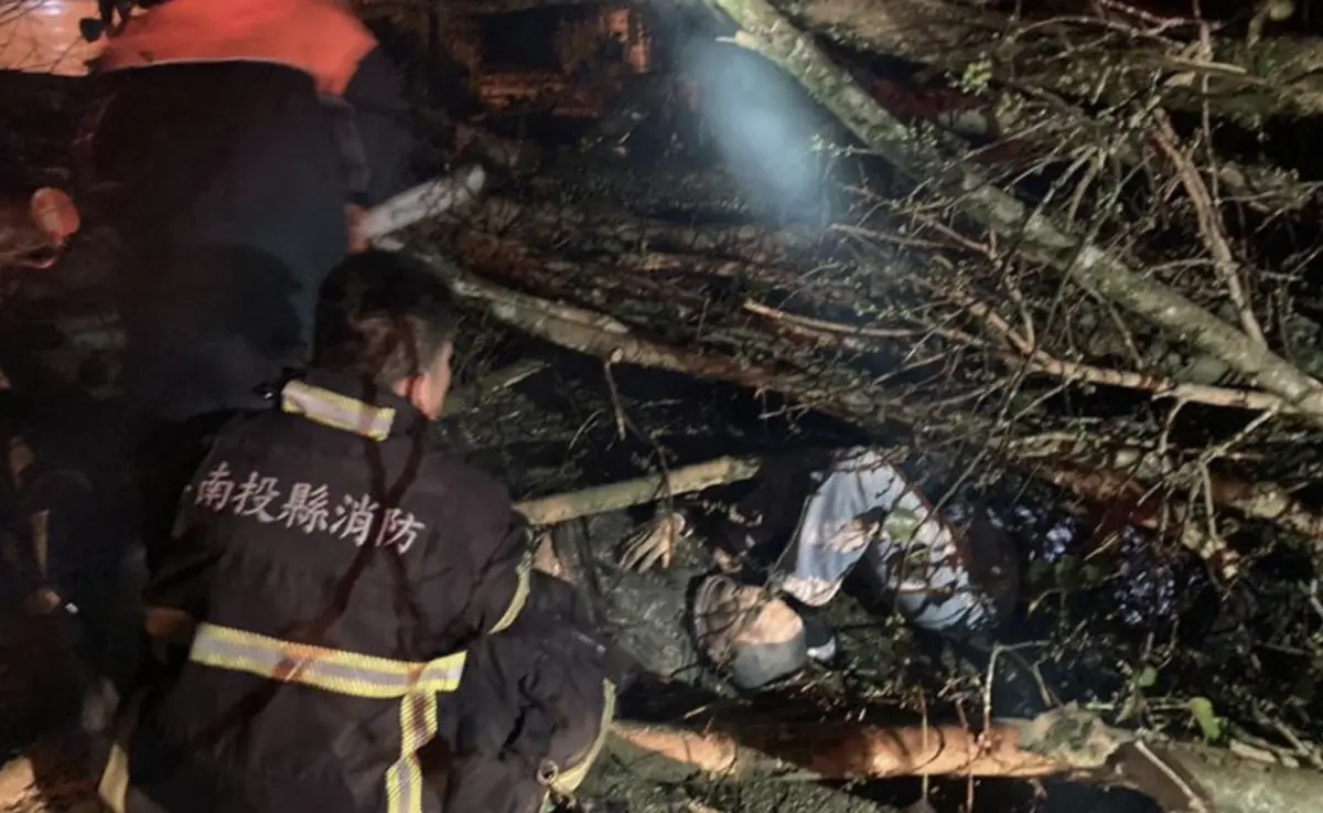 ▲今（29）日清晨5時許，南投縣埔里鎮知名景點台灣地理中心碑園區，突然有顆大樹倒塌，壓到4名晨運的民眾，其中1人頭部有大型開放性撕裂傷，大腿疑似骨折，其餘3人擦挫傷，消防人員到場後立即送醫。疑因園區開挖又遇連日降雨土質鬆軟而釀災。（圖／翻攝畫面）