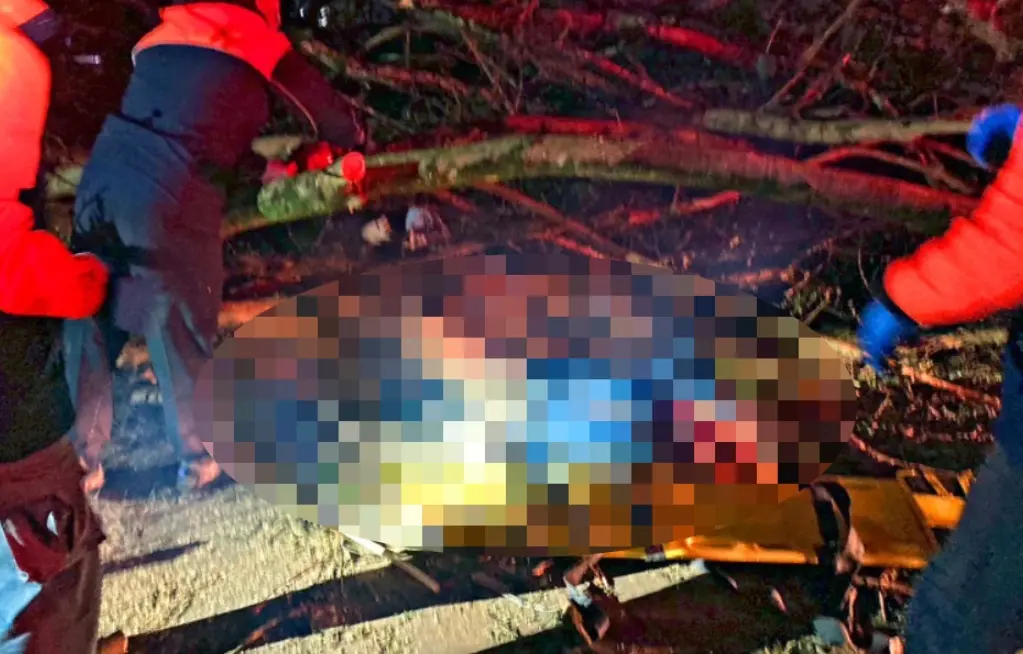 ▲本月29日清晨，南投縣埔里鎮知名景點「台灣地理中心碑園區」，近期因景觀營造工程封閉中，未料卻發生大樹倒塌壓傷人意外，當時有4位晨運的長者，因閃避不及被壓在大樹下。（圖／翻攝畫面）