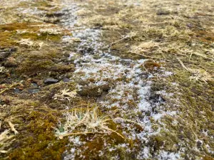 ▲東北季風餘威加上水氣增多，玉山今晨迎接今年第二次降雪。（圖／中央氣象署提供）