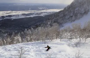 台灣女性北海道滑雪受傷獲救　無生命危險
