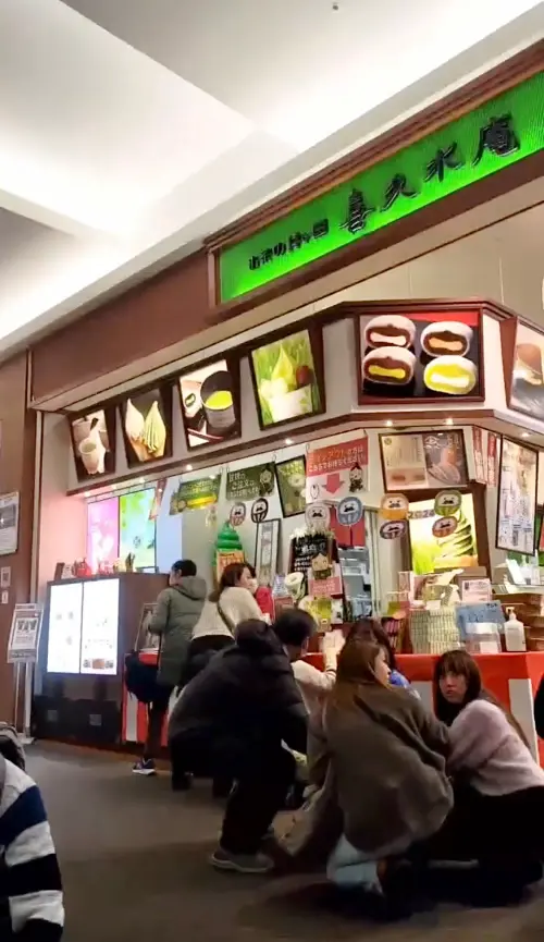 台灣導遊曝光日本強震畫面!新潟購物商場劇烈搖晃、尖叫聲不斷 ▲新潟購物商場內劇烈搖晃,民眾蹲地找掩護、尖叫聲不斷。(圖/翻攝自導遊邱木忠提供影片)