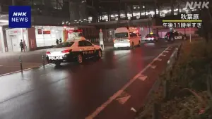 日本開年不平靜！東京JR秋葉原電車爆持刀隨機攻擊　4人受傷送醫
