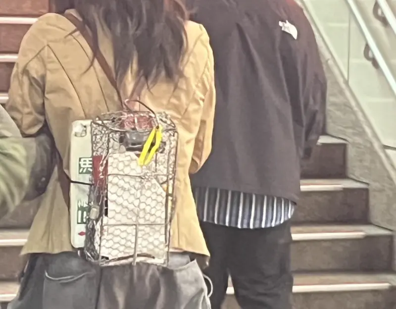 ▲一名網友在路上發現，有位路人身上背的包包，竟是一個捕鼠籠製作而成，造型非常奇特，而該路人真實身分是來自馬來西亞的藝術家「Teebai」。（圖／翻攝自臉書社團「路上觀察學院」）