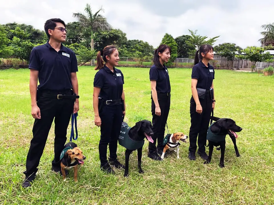 ▲今（4）日農業部動植物防疫檢疫署就在臉書上公布「領犬員」徵才消息，起薪就高達37K。（圖／取自動植物防疫檢疫署臉書）