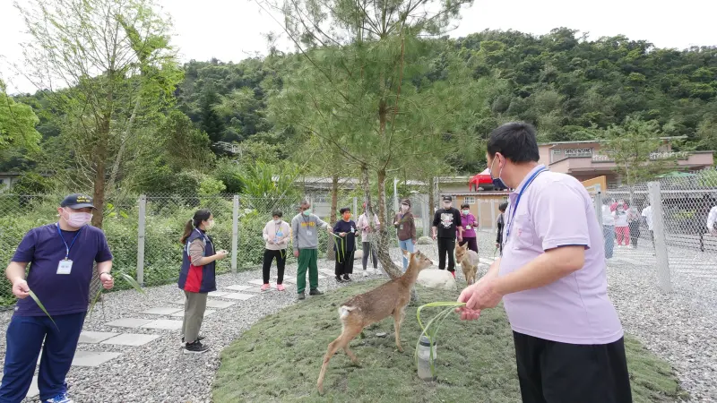 ▲說到宜蘭農場，不少人都會想到「張美阿嬤」，不過近幾年剛開幕的「鹿爺爺」最近也頗受好評，同樣也在Google評價拿下4.9顆星的高分。（圖/鹿爺爺臉書）