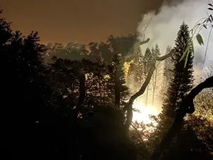 疑原料燃燒爆炸！苗縣煙火廠深夜傳出火警　300多坪樹林慘遭波及
